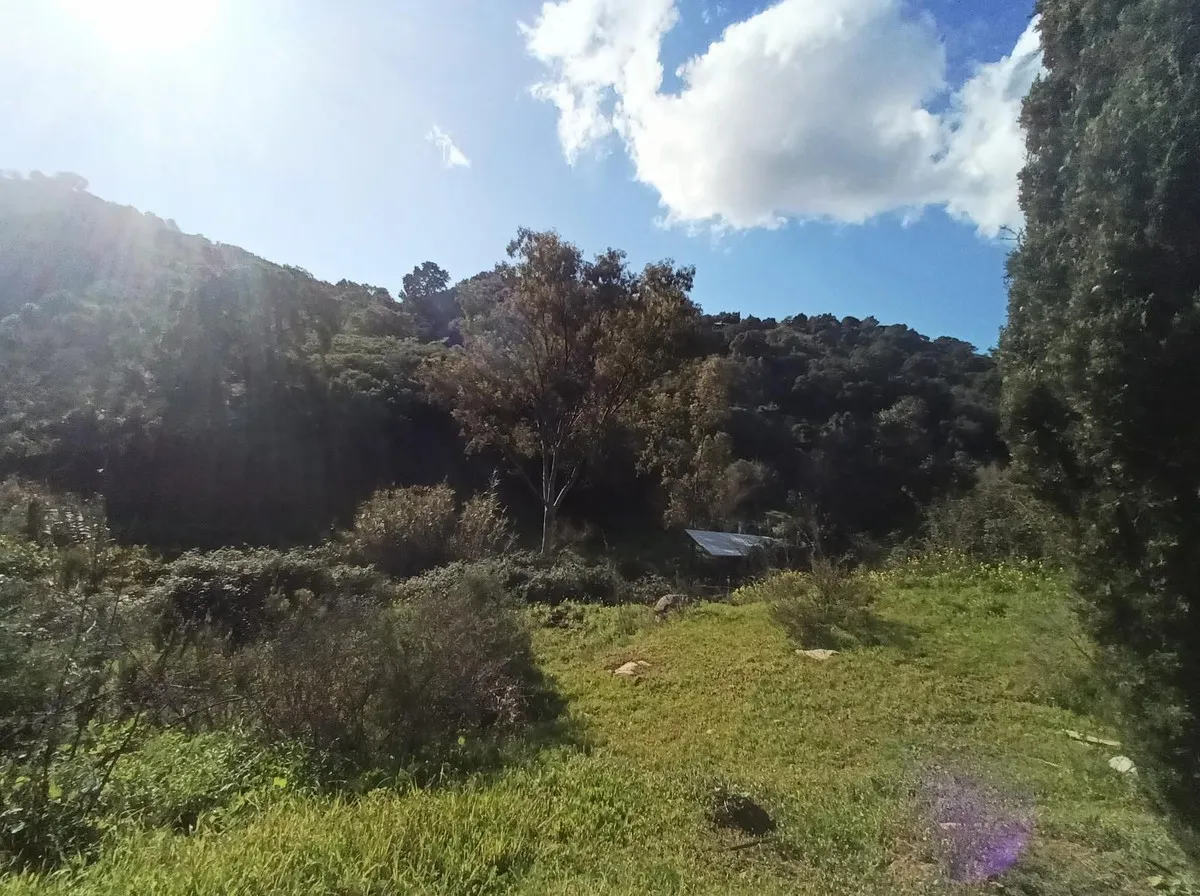 f119cc28-2272-44b3-b01f-75d5cbe3210e