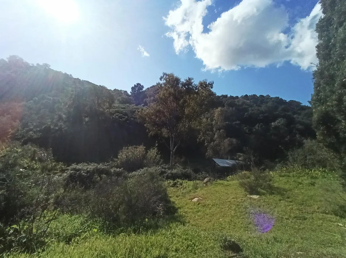 f563aa42-b2a7-4ec7-9a86-d520a584a3d6