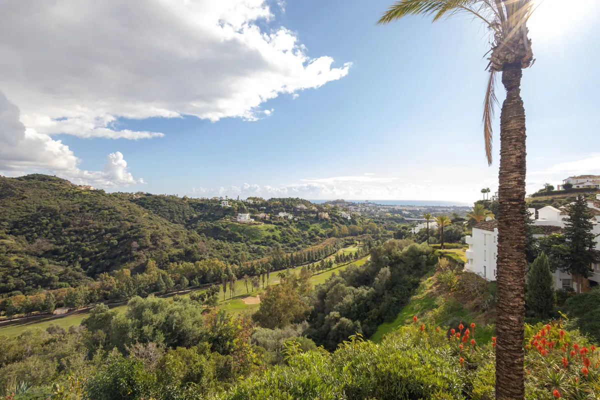 d4918174-04c6-4544-b24e-c062c22e4c48