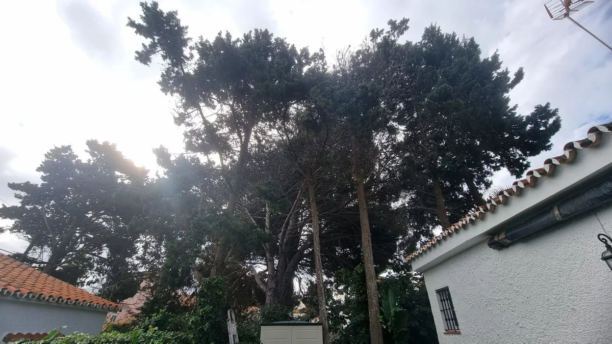 81d2a079-09e7-4708-bef0-94146ed2264d