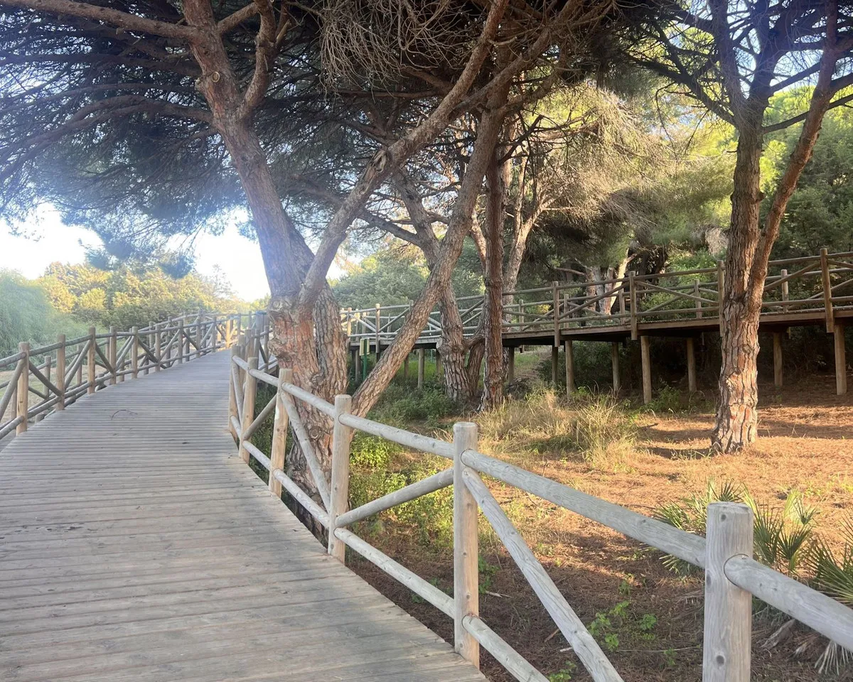 5be01ea7-23cb-45a6-a9cf-c2985d95a36e