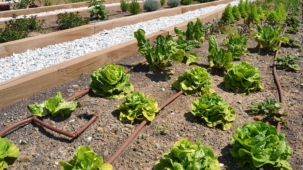 5d0e2cc7-d8a5-48f2-8577-2148e9ad44aa