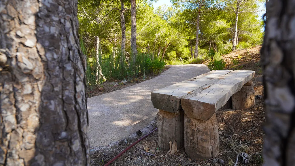 865ba82a-005b-43b9-a0ee-33d815fb7baf