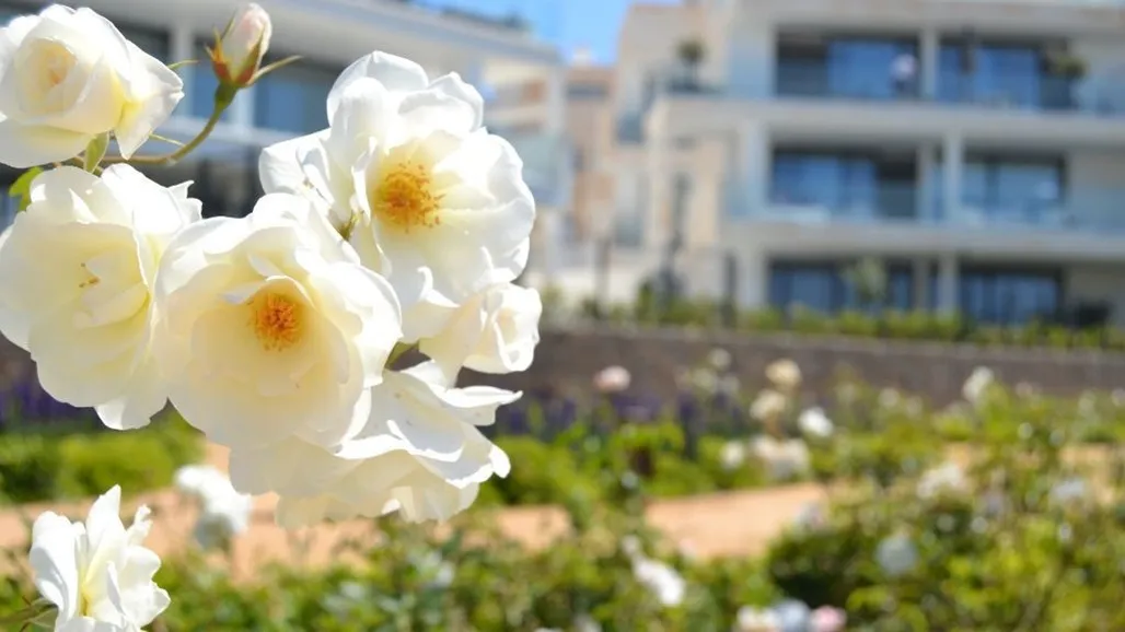 c510189c-680d-455c-88f6-fe51d5b98130