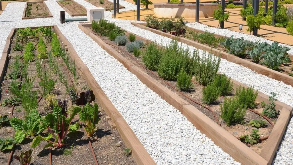 88a2c91c-6e5f-4911-b76b-dce49e5641fd