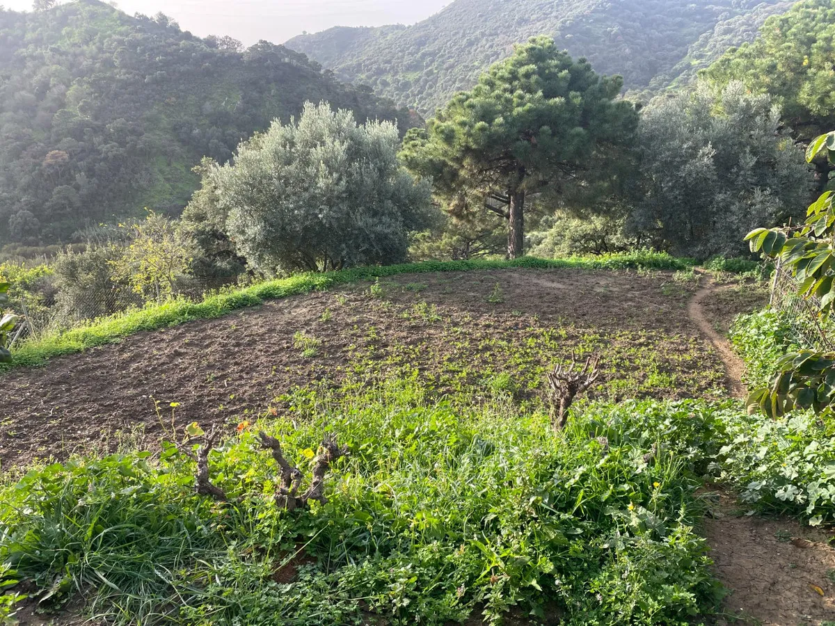 6d4bafe4-7982-4f05-893a-663588bd8d5c