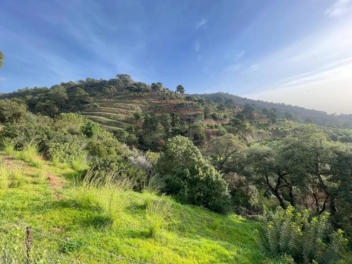 a50153e9-bbae-4874-ae81-a0c36fc73eea