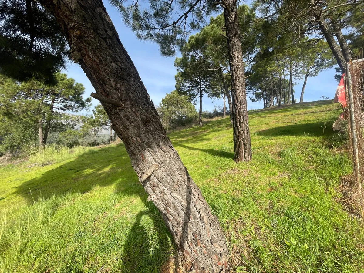 bac2983a-7e0a-480f-a62a-e17cb70ad989