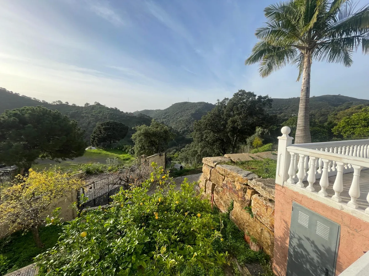 c04d1c47-8911-4c98-9446-6dd45ffa1120