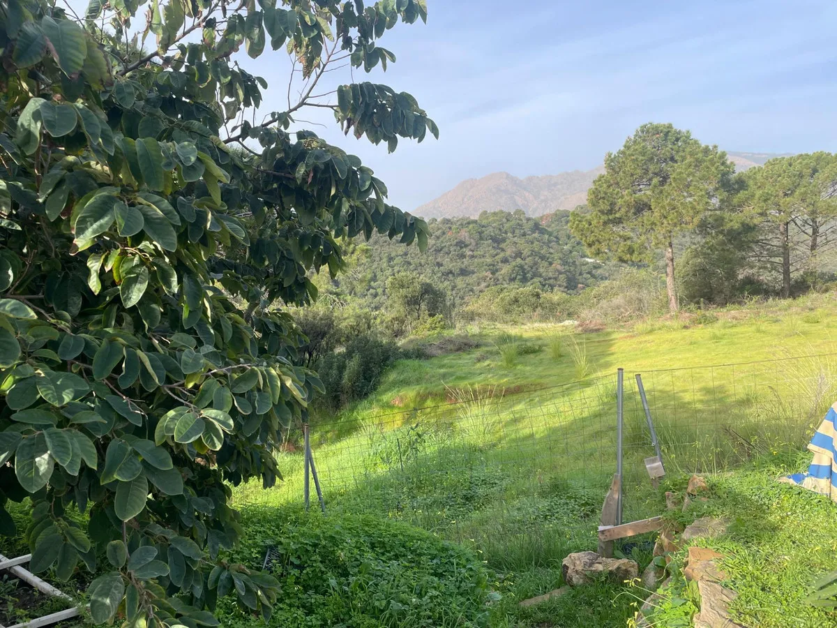 fe8d53ae-217b-459b-953e-7d6fe85a6a8a