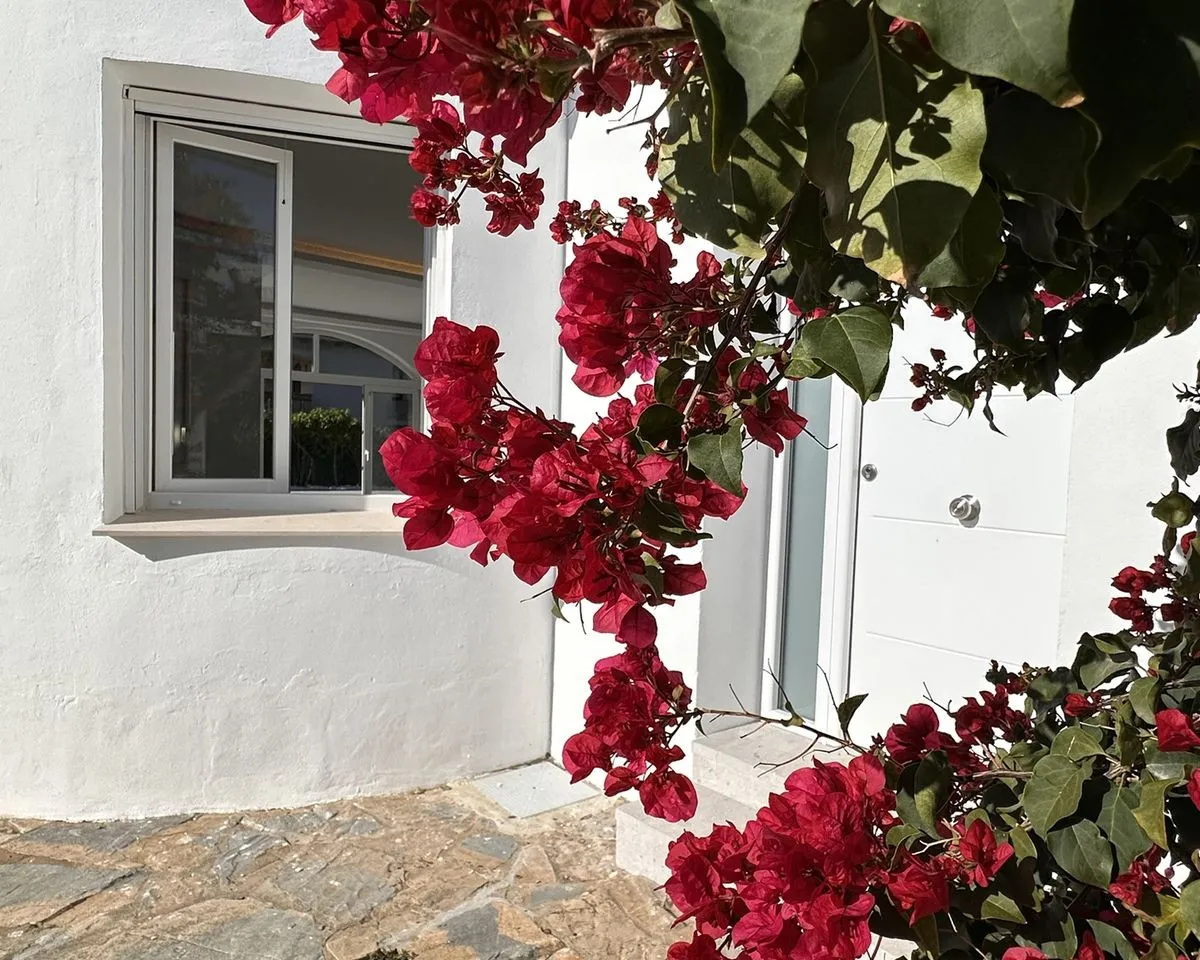 c67544e6-c1d6-4820-882b-7fde67931cd8