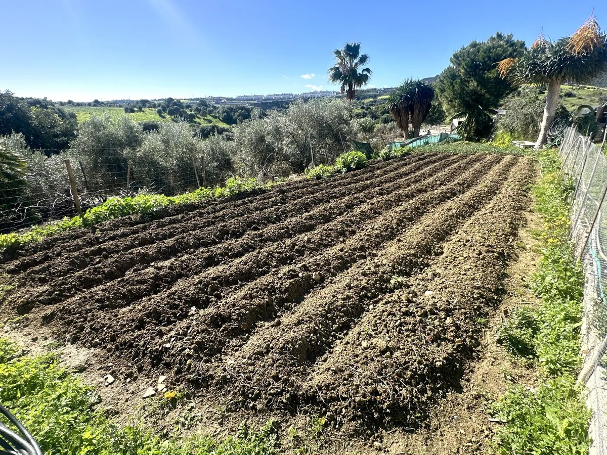 eb90a200-cb34-479f-8cc7-b45194976e47