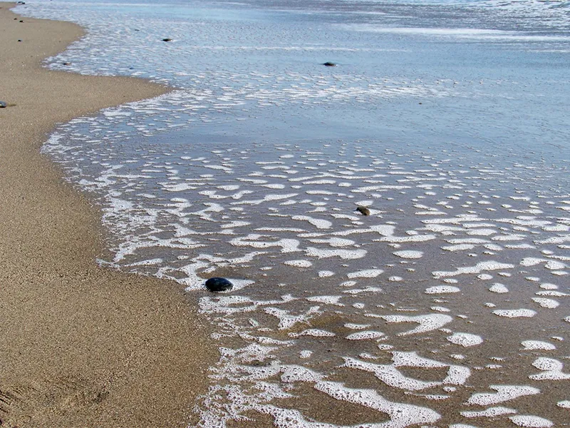 cc710ad6-4d29-46c5-a71b-07f8b1ad4f06