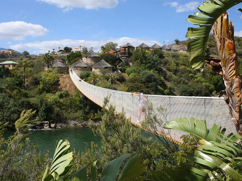 488da4d2-361e-4cb3-92ec-5812b9db0c53