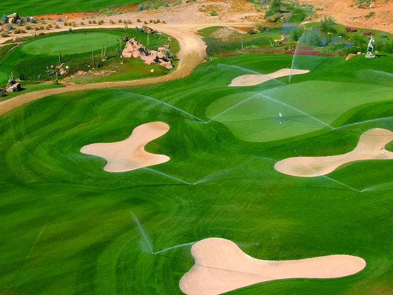 f05927b7-88d2-4f26-8a25-f243cd6ea225