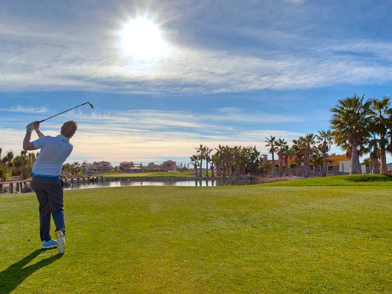 5b6525f3-26d4-4460-aba6-20e3a80123b6