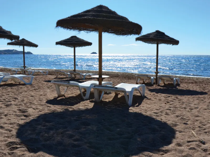 b12f082c-a0d0-46ec-ae7e-ac0769d8efde