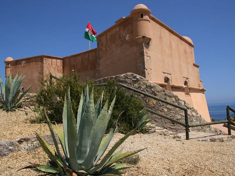 ba49361e-7df1-4e25-8c07-79e409f4ce8a