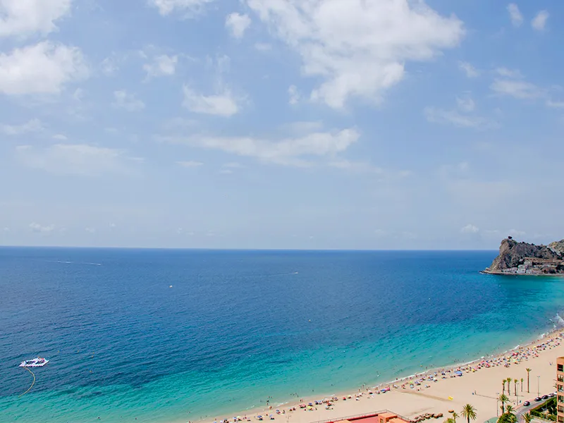 21a3663d-eee2-4159-9e4f-ce16a9b2882a