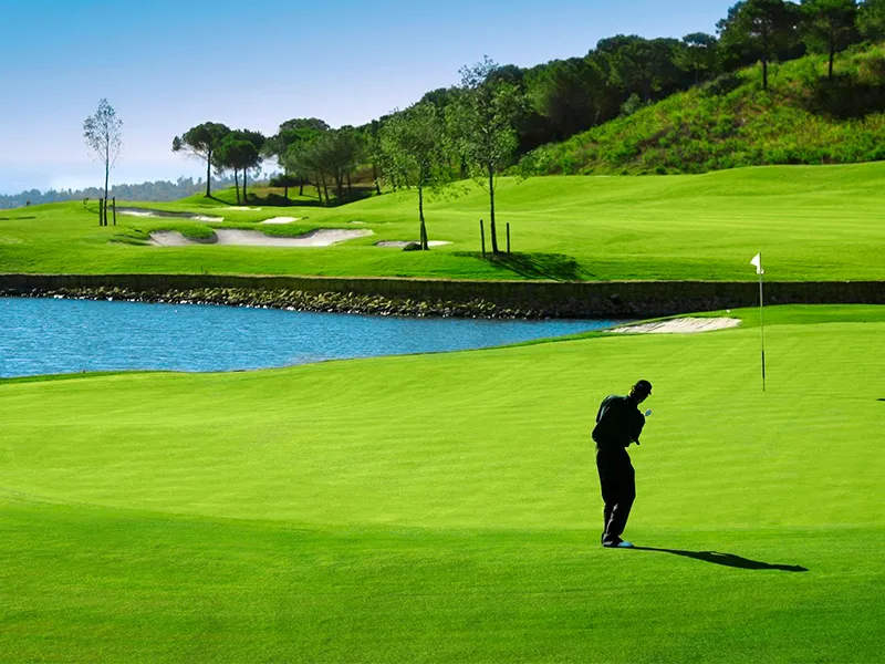 a4921cfc-1290-4727-b6c9-26e560b6ef33