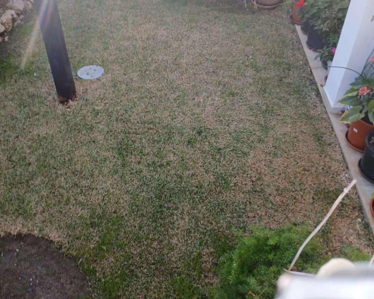 b8979548-f9ea-4041-adf7-00b216e635cb