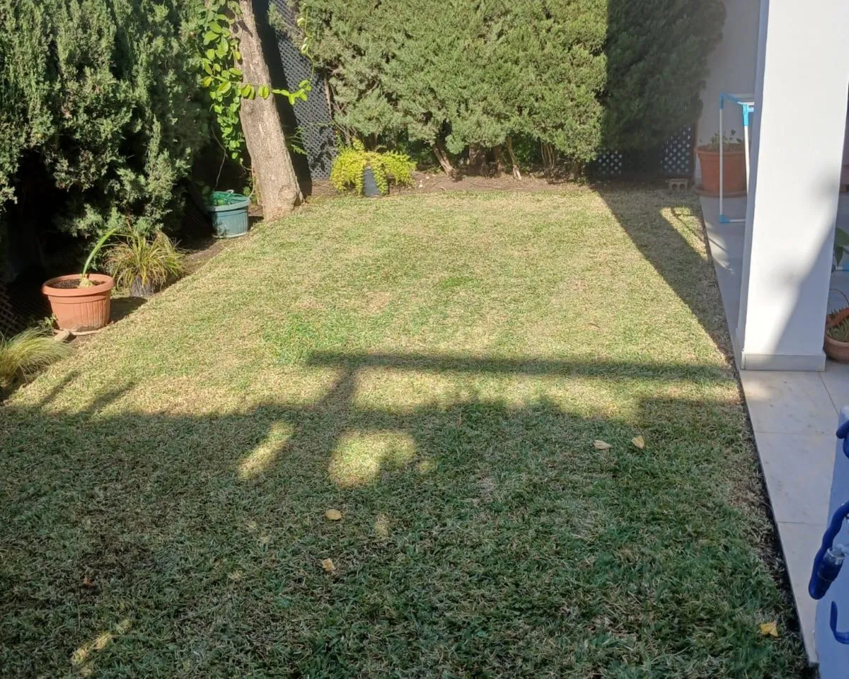 ca74e354-d34b-45d4-903a-5f185e288e72