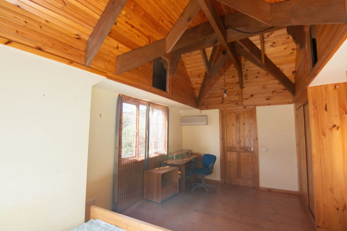 17f64a8a-9a81-48ce-bfca-bed33f1a3a77