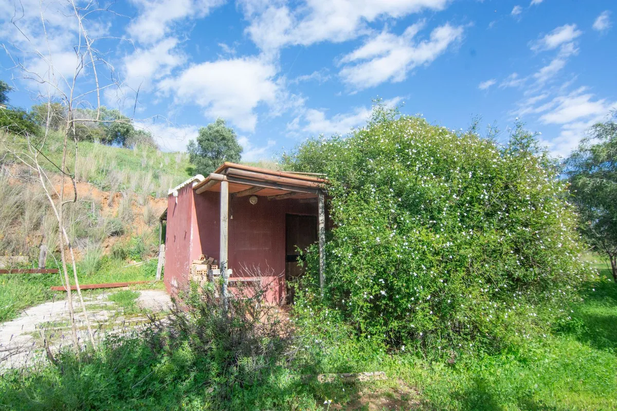 47f34b49-9493-4d52-9677-4c0296ba5b00