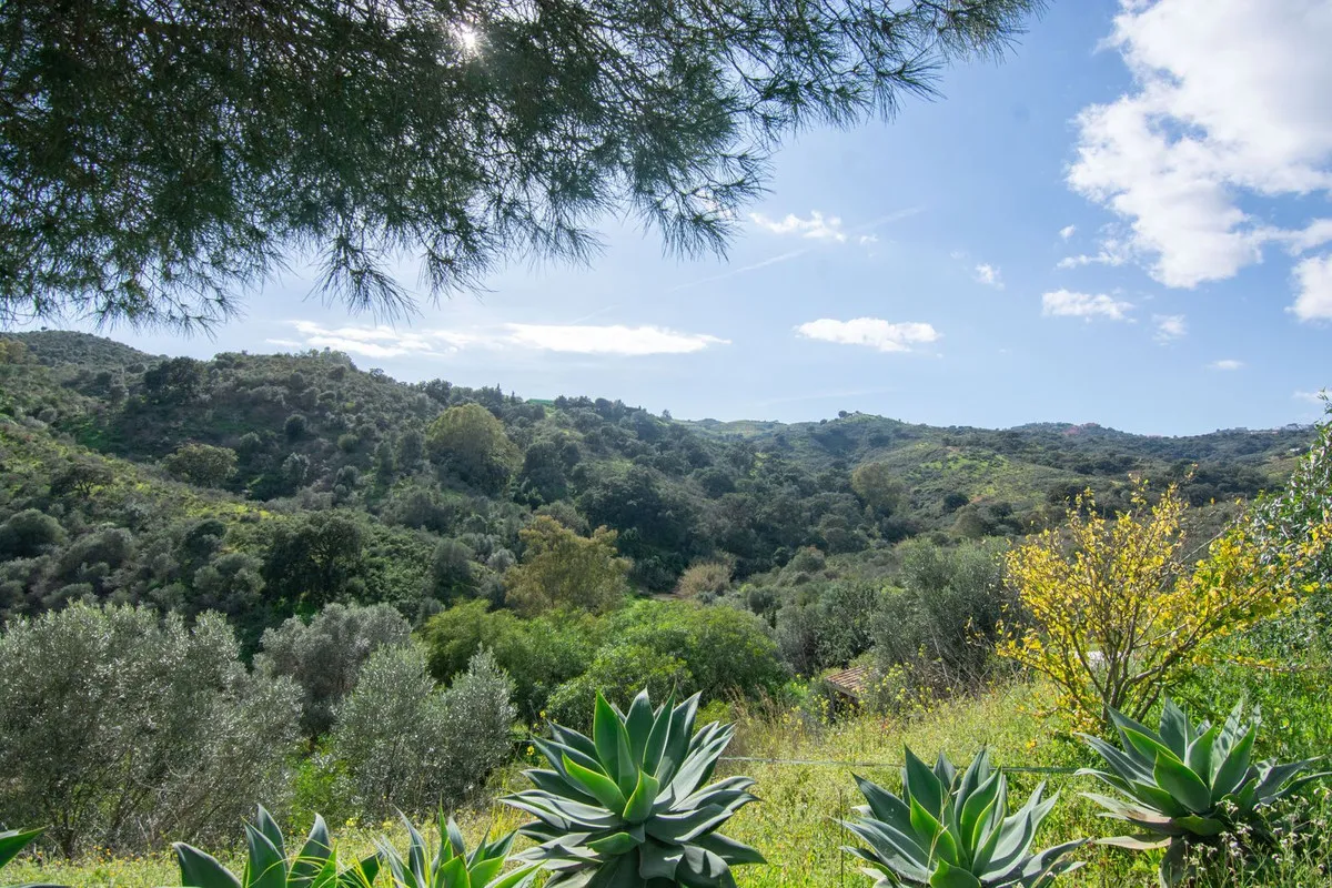 6e9ec556-3075-479f-a771-63630efcbd8d