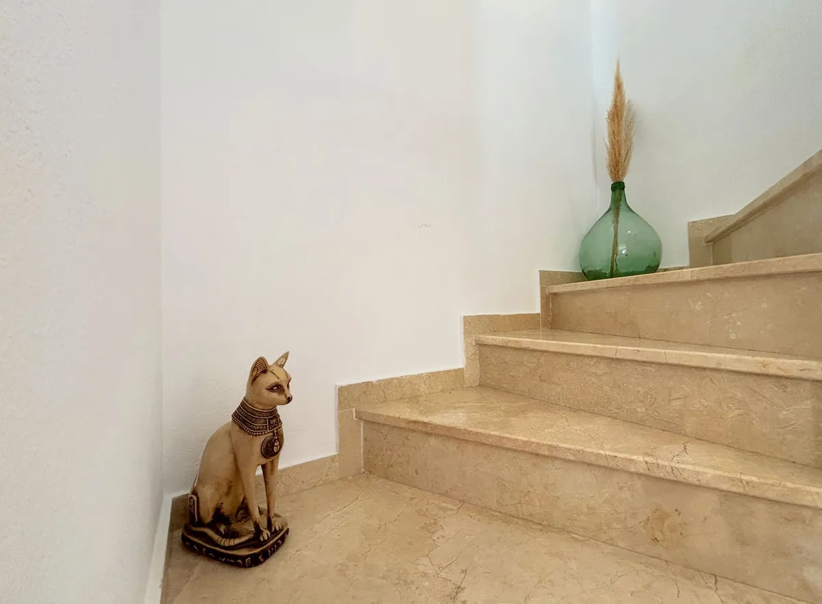 26d8205d-b3a5-49b4-8d35-98919ffb7dbe