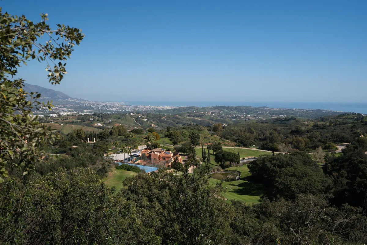 920137af-9a84-4d5a-922d-1d6e88826550