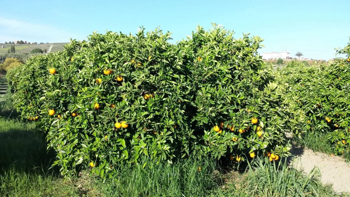 0d50f8be-4100-44ba-aae9-6a36b3f7f596