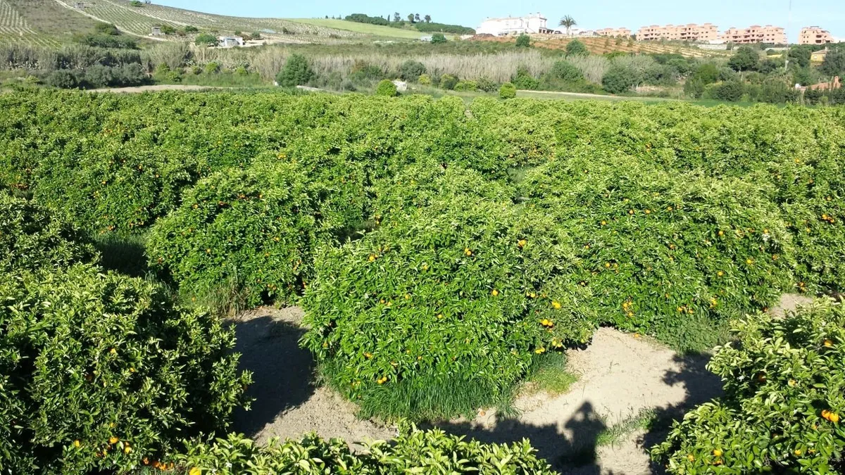 1525e895-8a8f-46b5-8955-8b8e2760d11d