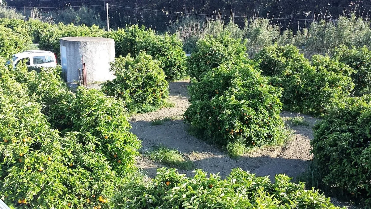 df8bf485-f47c-4bc9-8ece-0de847cf7057