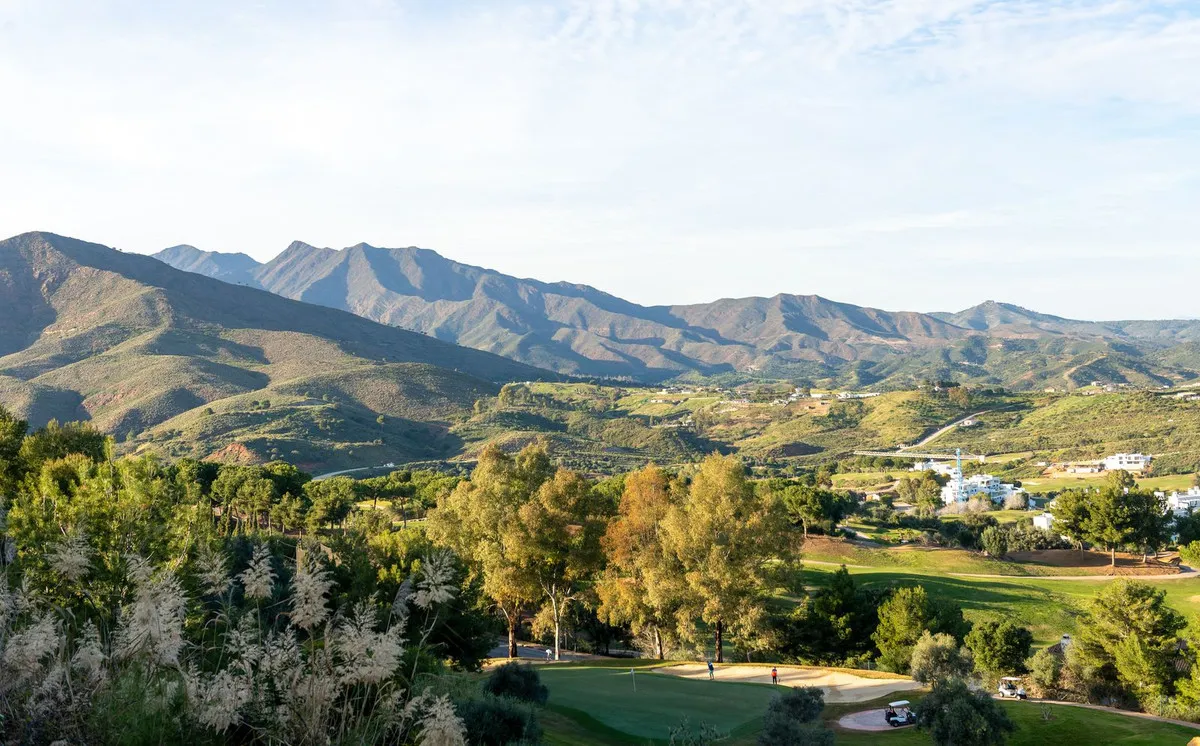 5d0e700e-b7f2-4c8b-9442-43eac602d226