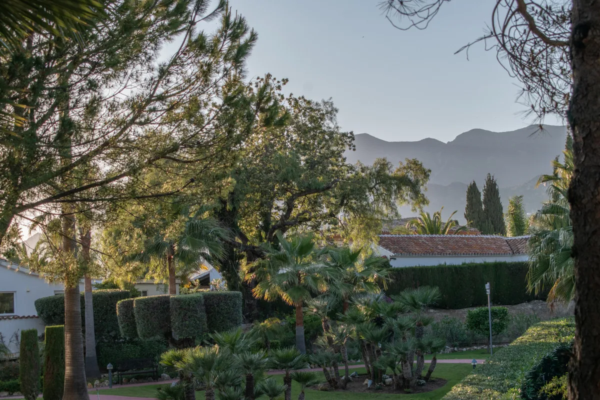 bcbdc9ce-d811-42ee-8963-2896bc906455