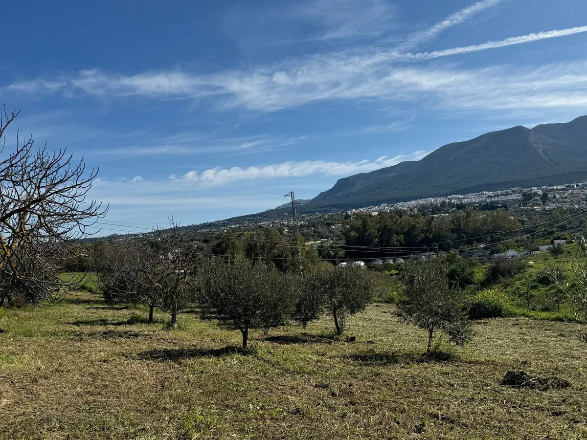 6f8b69a2-97cc-4df0-acb2-3bff46624671