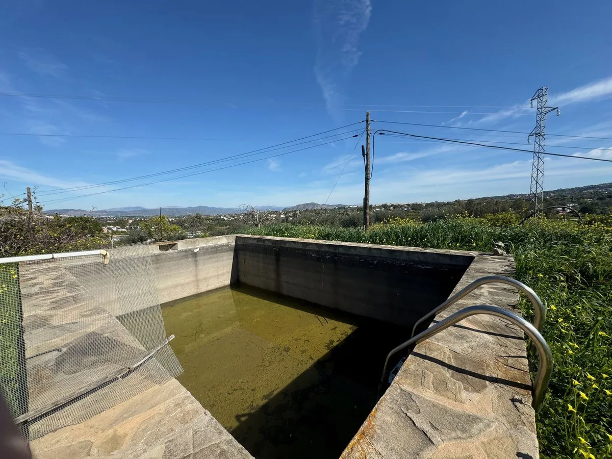 9a07976b-cb6d-421d-9732-addfde3d61c3