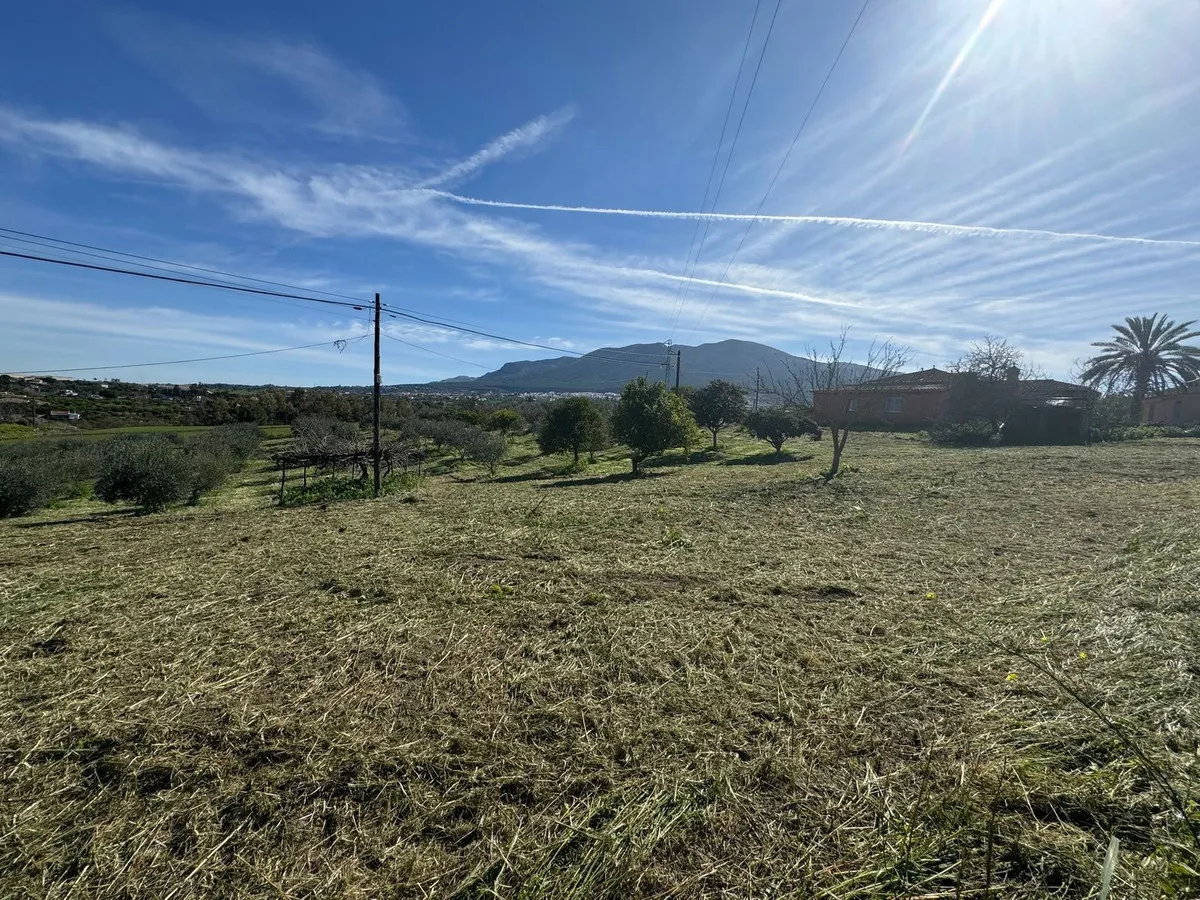 f84d299a-2b57-43fe-be59-29f513d8452a