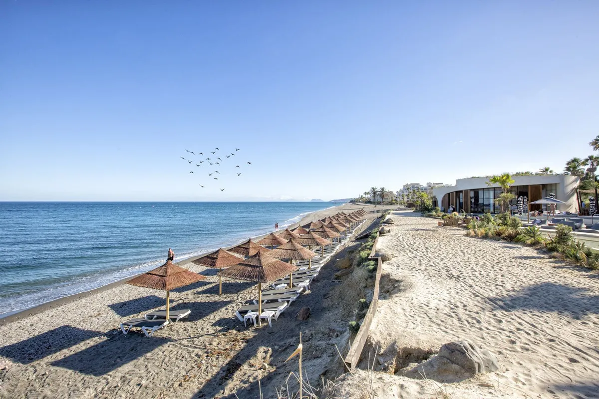 8ae42384-b629-4e8f-a253-37081078b402