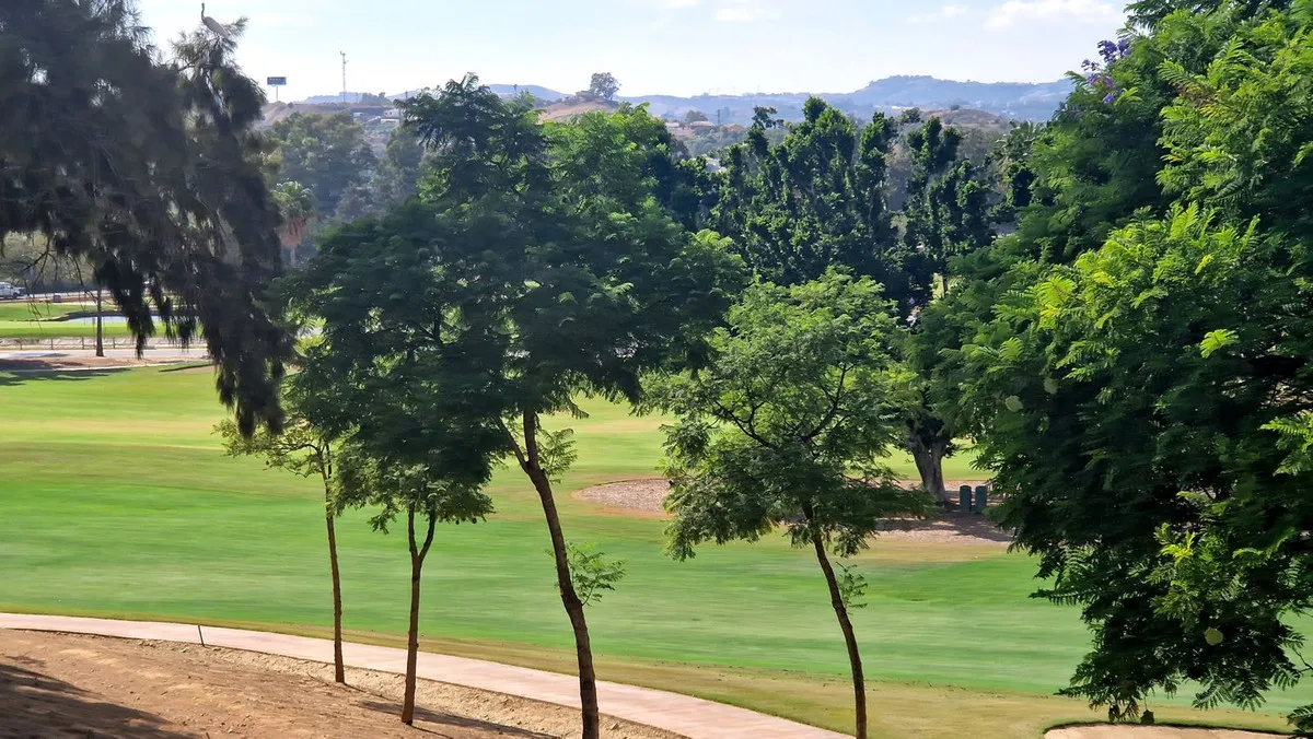 cf55b96c-7566-42b1-a33d-0b73a0bbfedb