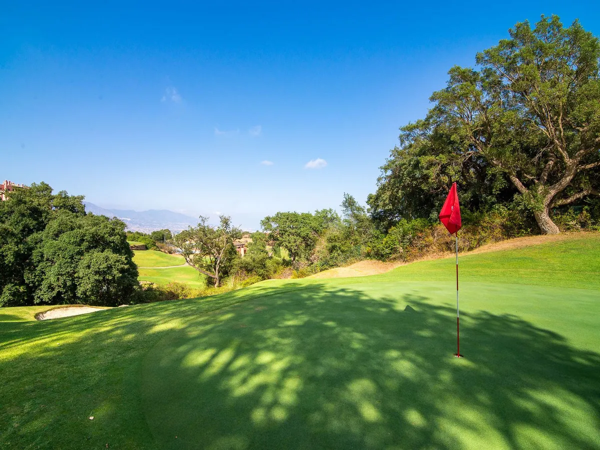 469bb25b-3fbc-4aeb-ad66-c2816dba09ec