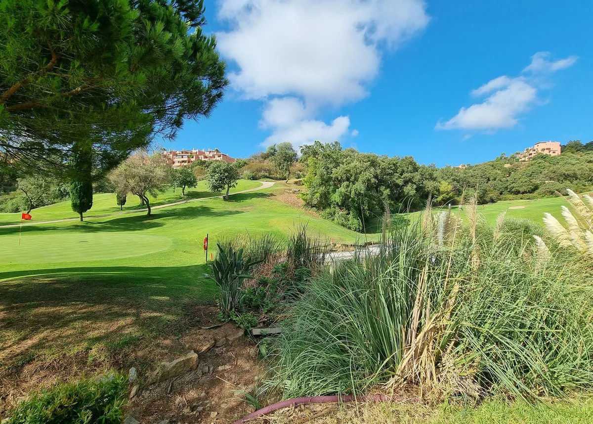 ac029996-a15f-4a09-bf9b-8820a7fb3c80