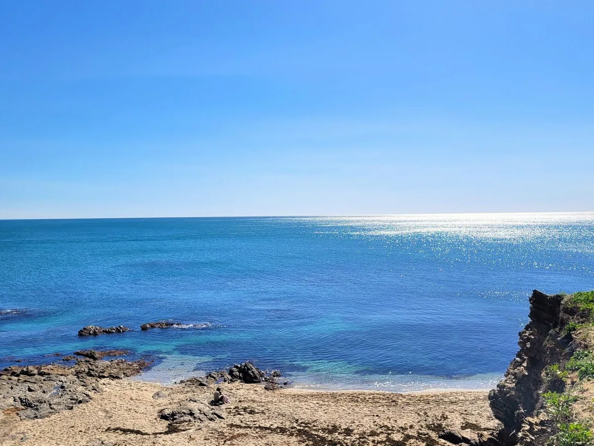 26f4e16f-07bb-4644-a7e9-068e23479ef5