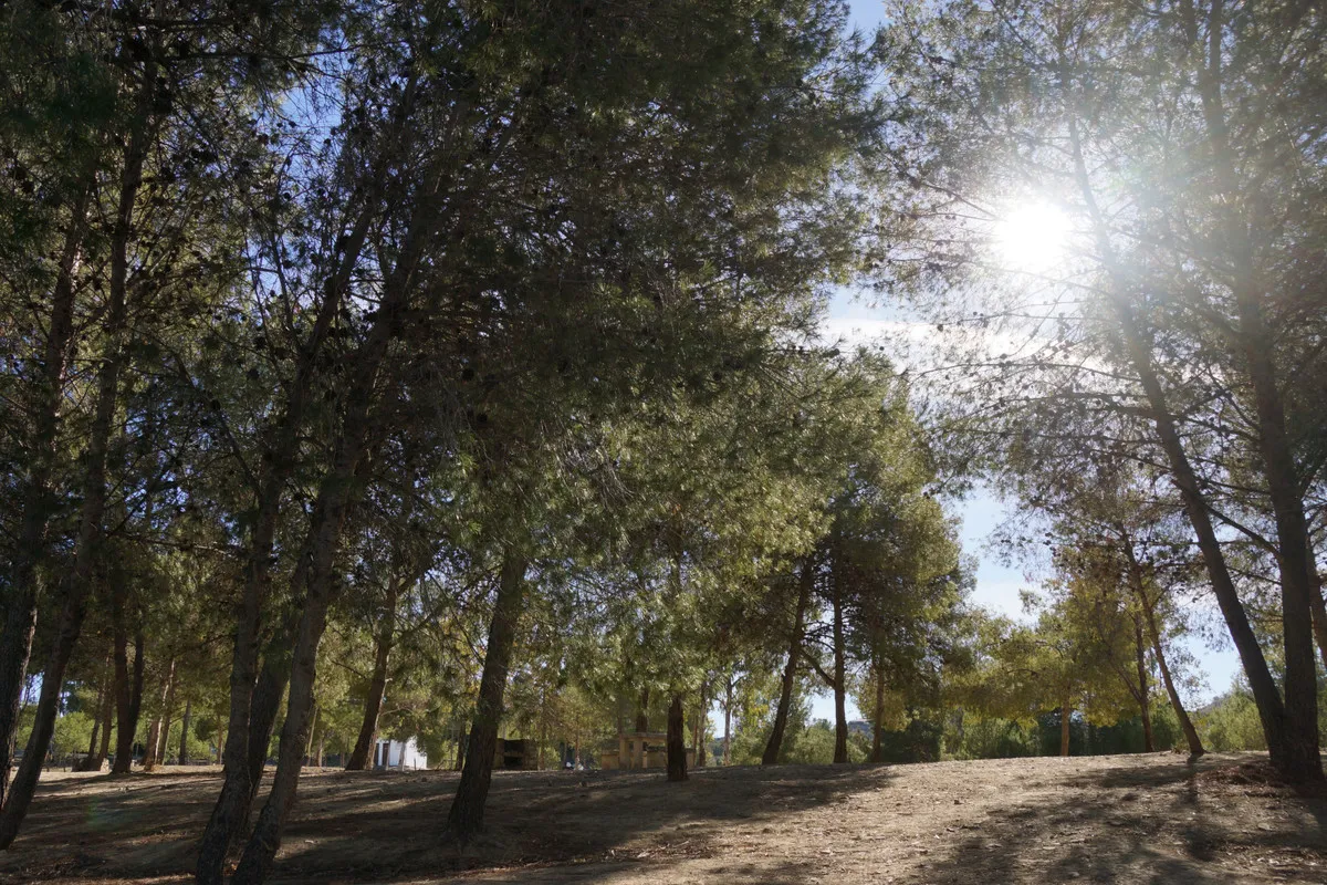 c3b6d6dd-cd77-49d2-8bc3-a97f93456ba1