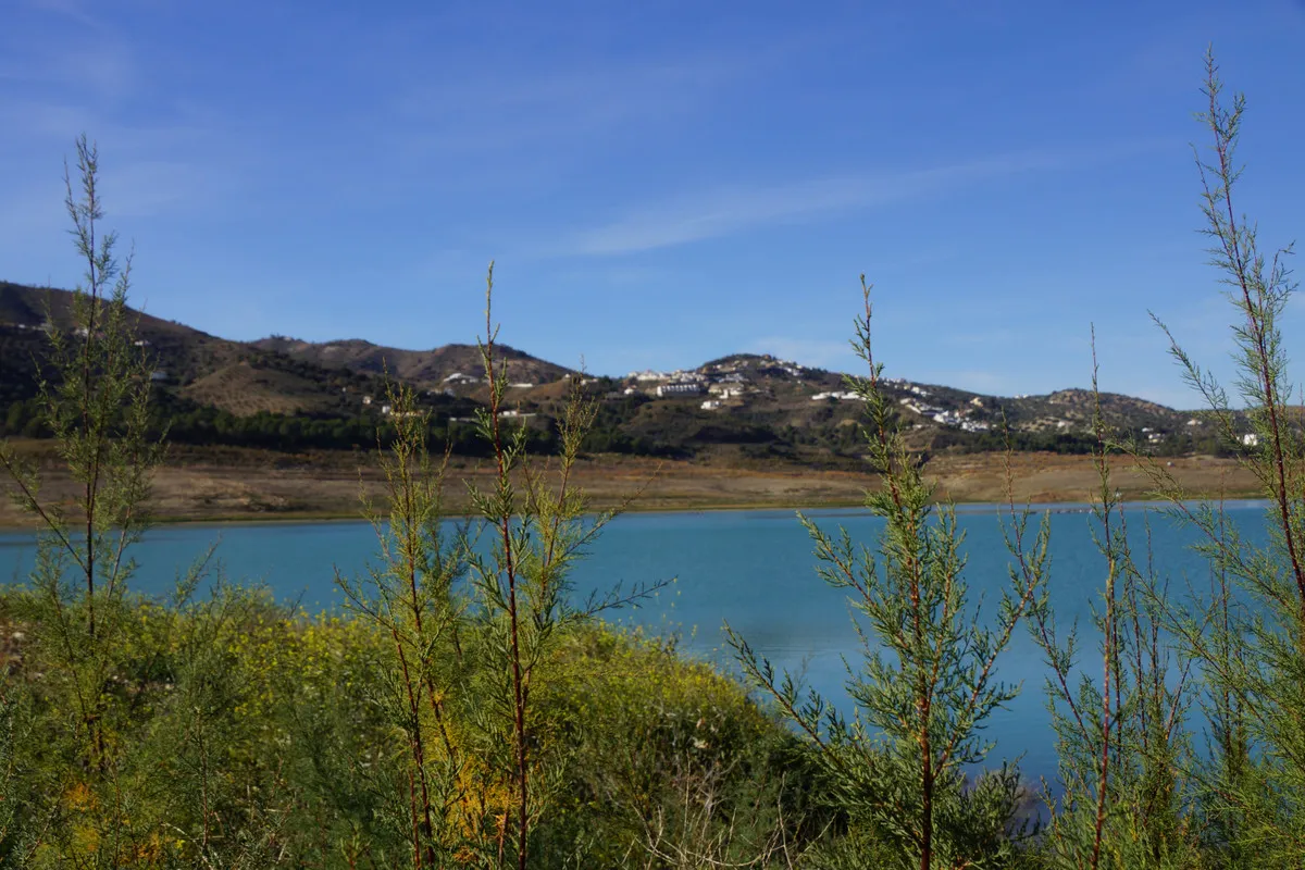 d0bf8ef0-0e5f-48dc-b68a-289af9f904a9