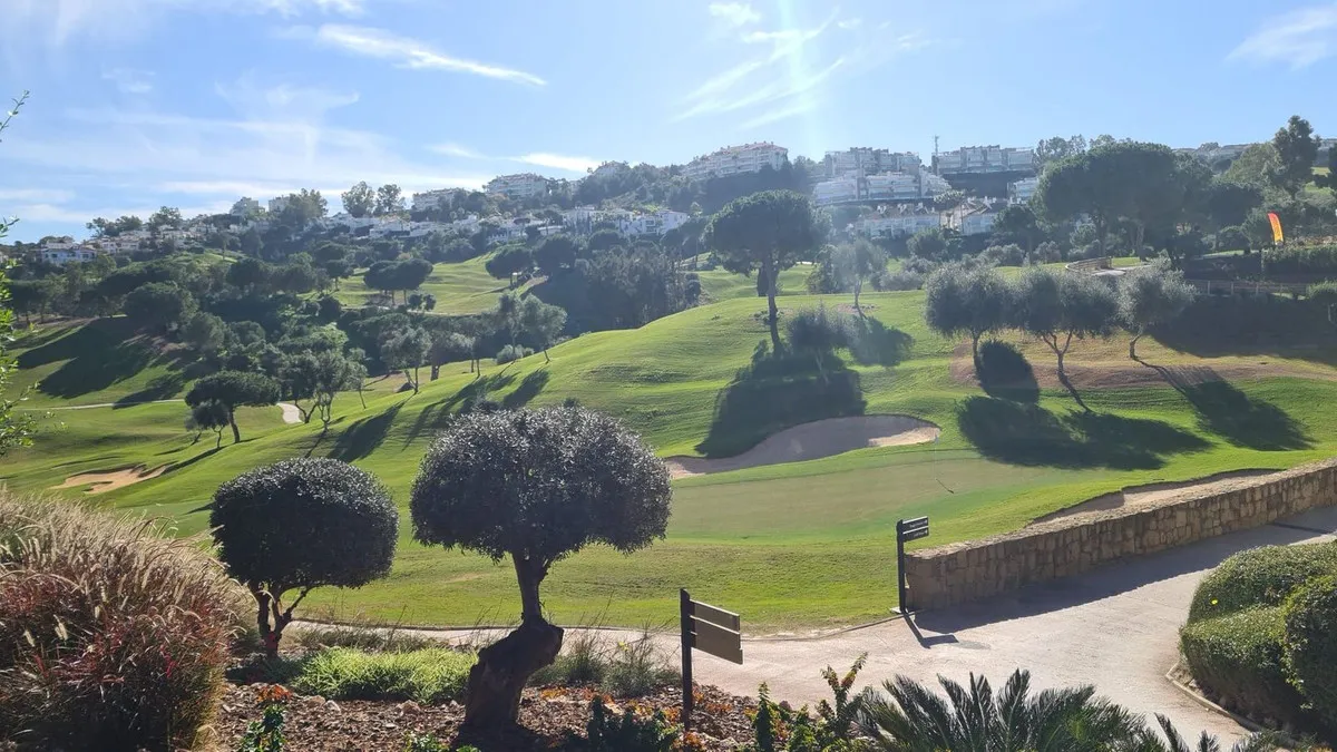 d5f7b918-7201-43b0-ae46-f5eda3e885c7