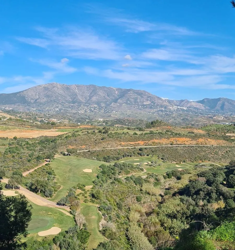 d64850a8-568a-407f-86c2-32f922889520