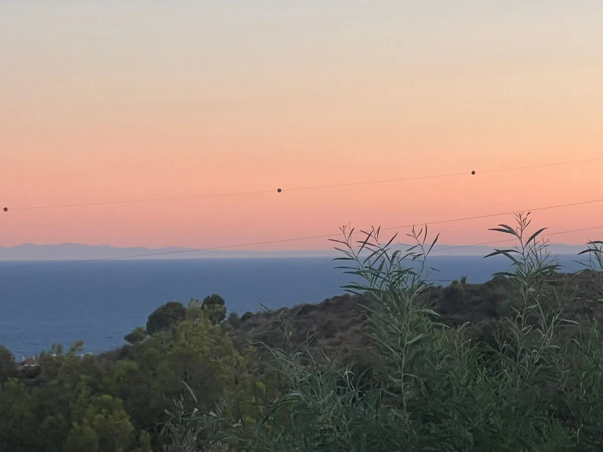 a11b00ab-b250-4e6e-a9df-2361b78a1341