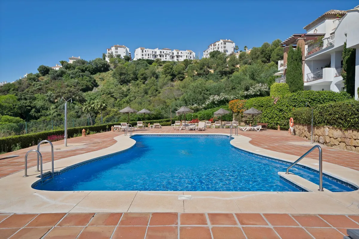 8e082907-7458-40a8-833a-1b6e0985aa07